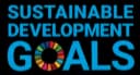 Sustainable Development Goals Logo