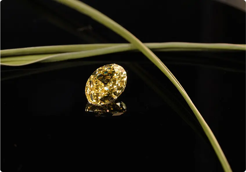 Every mark, a future gem.