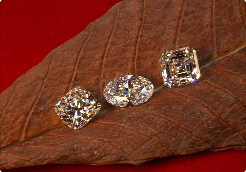 Legacy of perfection in every cut.